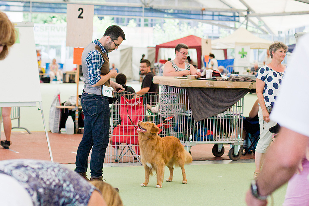Edison steht wie ’ne Eins vor Stephan im Vorring und lächelt dabei zu ihm hoch