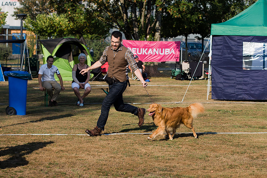 Edison läuft freudestrahlend an Stephans Seite durch den Ring