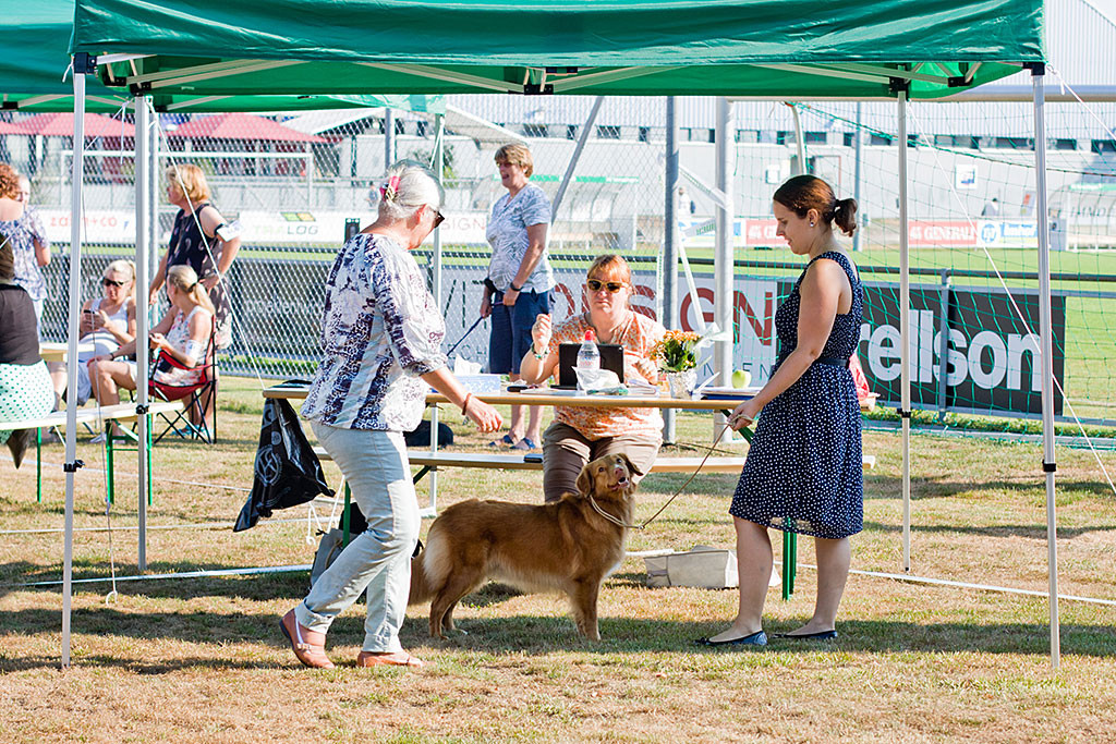 Ivalu flirtet an Carinas Seite mit der Richterin