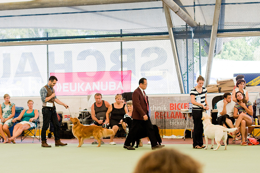 Edison steht vor Stephan im Ehrenring während der Richter an ihnen vorbeiläuft