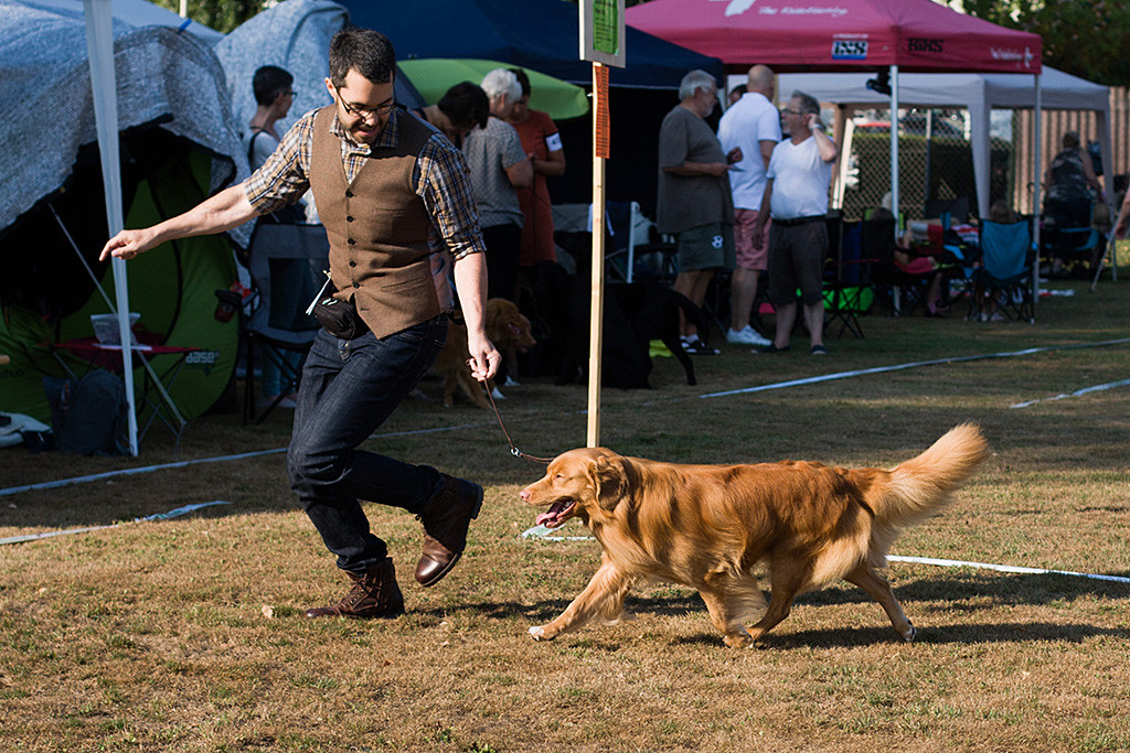Edison läuft an Stephans Seite durch den Ring