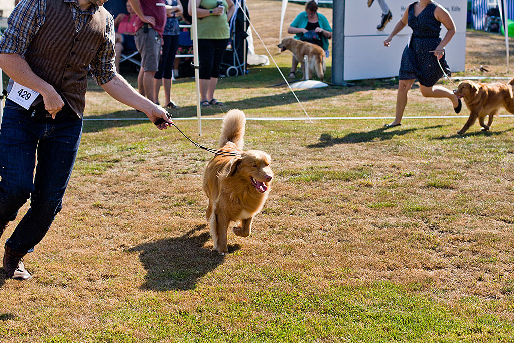 Edison und Ivalu laufen an Stephans und Carinas Seite durch den Ring