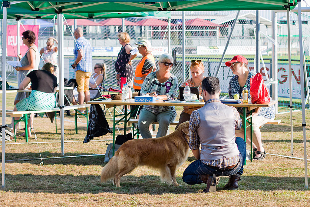 Edison steht mit einem hockendem Stephan unter einem Pavillon vor dem Richtertisch, an dem die Richterin und zwei Ringstewardessen sitzen