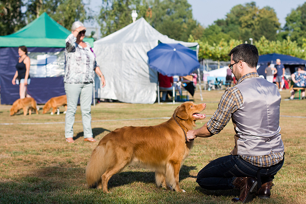 Edison steht im Ring, vor ihm kniet Stephan, im Hintergrund ist die Richterin zu sehen