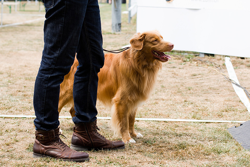 Edison steht an Stephans Seite außerhalb des Rings und lächelt dabei