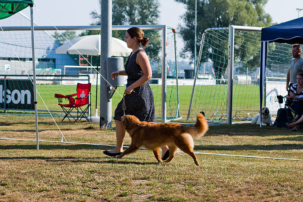 Ivalu läuft an Carinas Seite durch den Ring