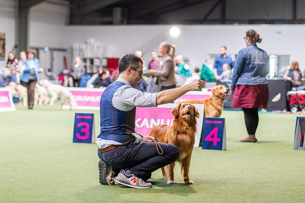 Newton schaut lächelnd hoch zu Stephans Hand, der hinter ihm kniet