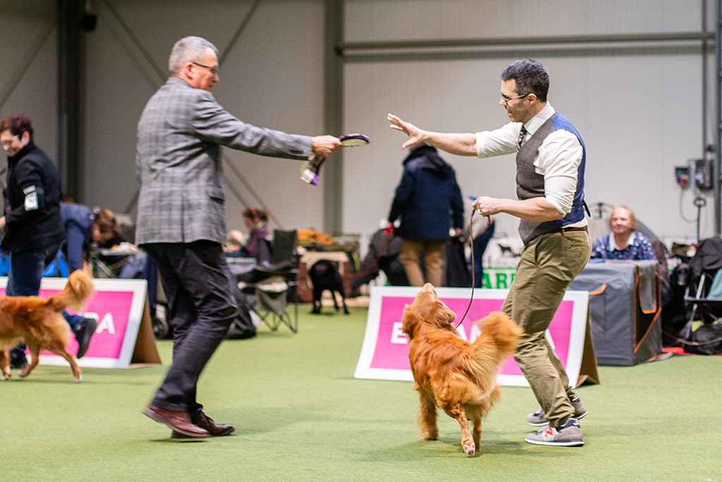 Newton läuft an Stephans Seite, dem gerade vom Richter die Schleife für den Tagestitel überreicht wird