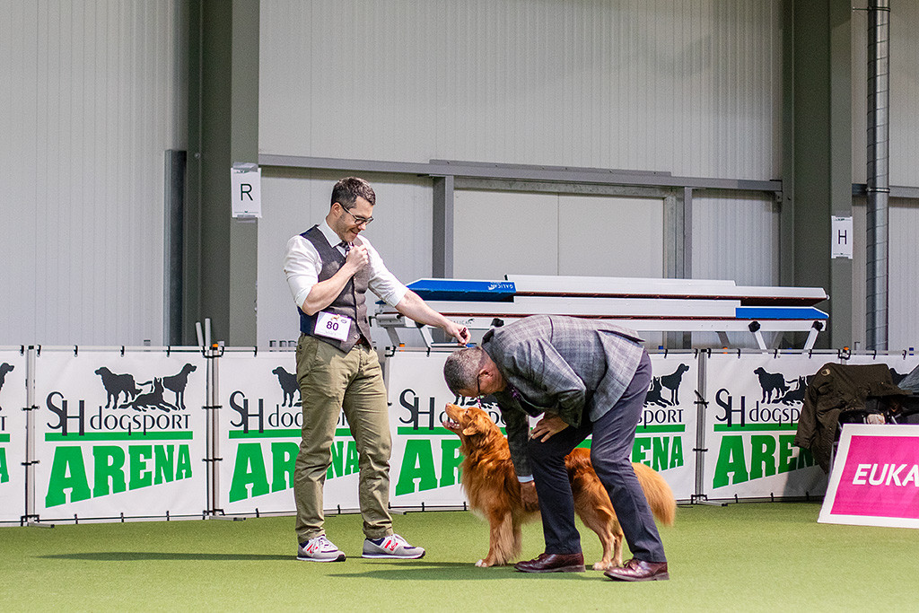 Edison steht frontal vor Stephan und wird vom Richter abgetastet