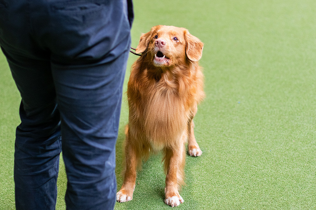 Edison lächelnd von vorn in Nahaufnahme vor Stephan stehend