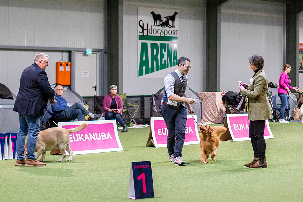 Edison wird zum Best Veteran in Show ernannt und Stephan erhält dafür die Siegerschleife von der Richterin