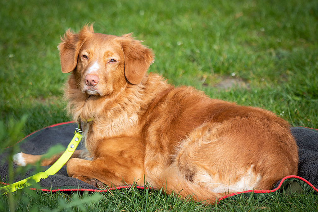Debby liegt auf ihrer Decke in der Wartezone