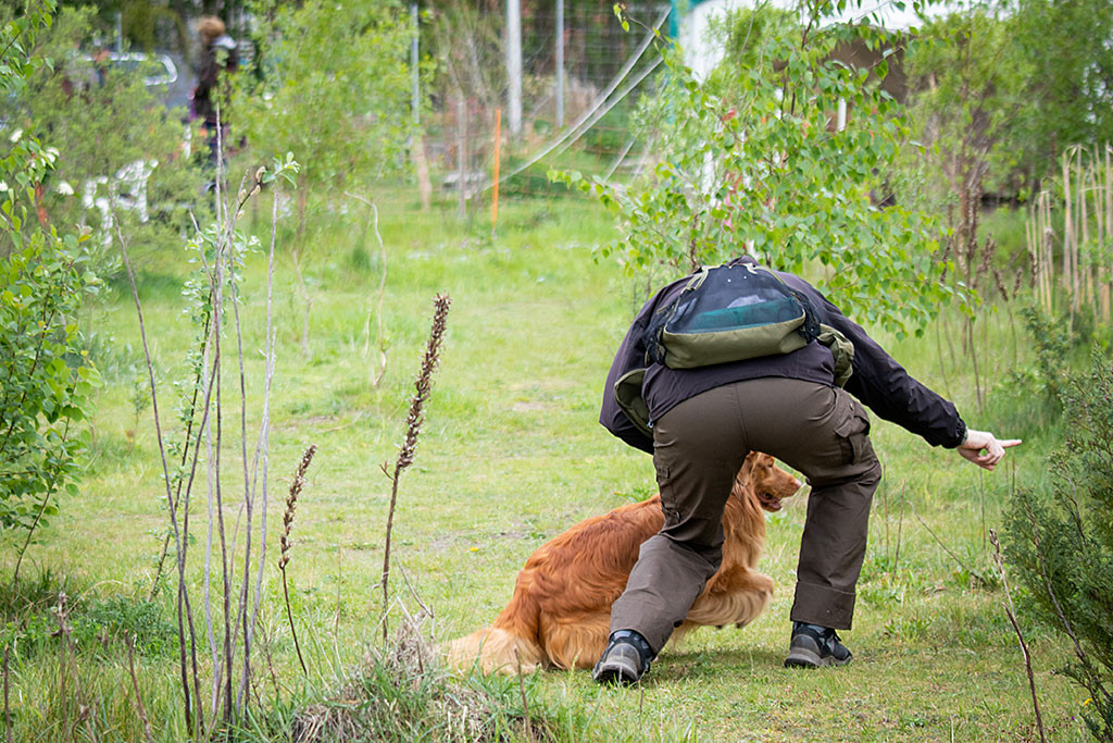 Edison startet an Stephans Seite durch, der ihm dem Weg zeigt