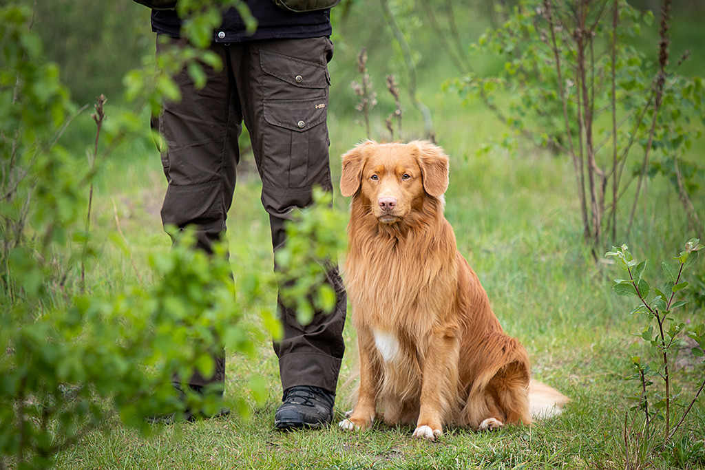 Edison schaut an Stephans Seite sitzend aufmerksam zu