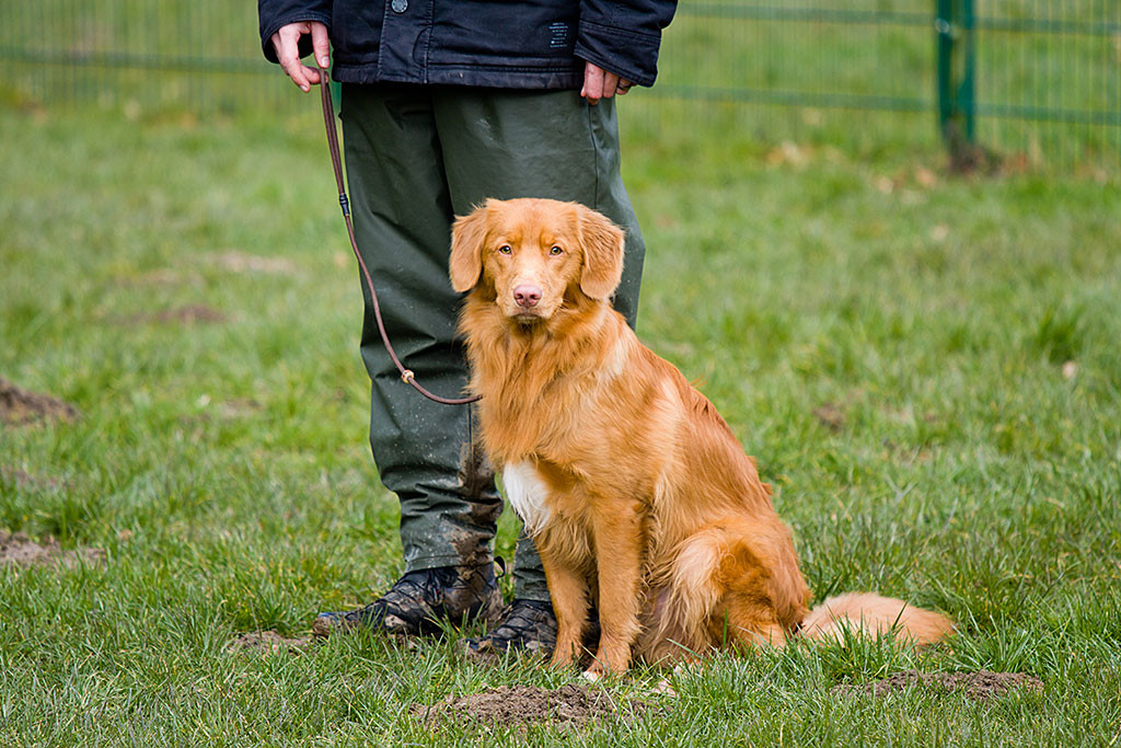 Edison übt das schnelle Sitzen mit Stephan