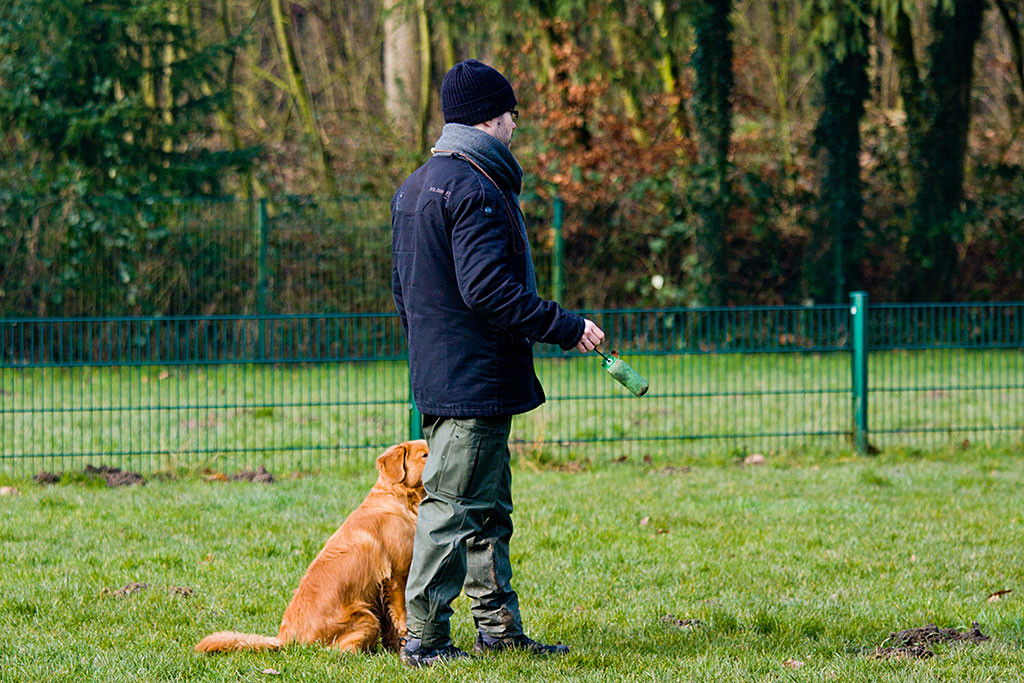 Edison wartet, dass Stephan endlich den Dummy wirft