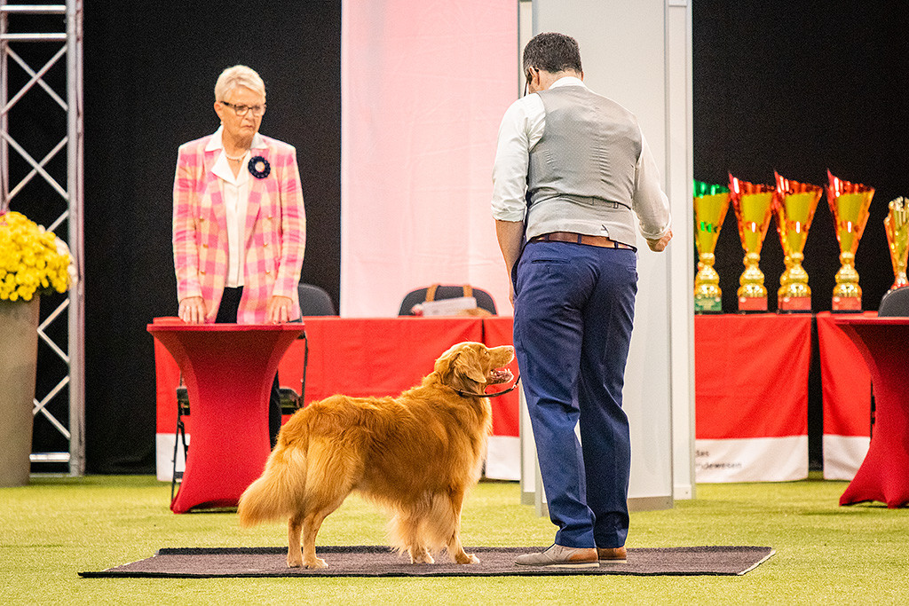 Edison steht an Stephans Seite vor der finnischen Richterin