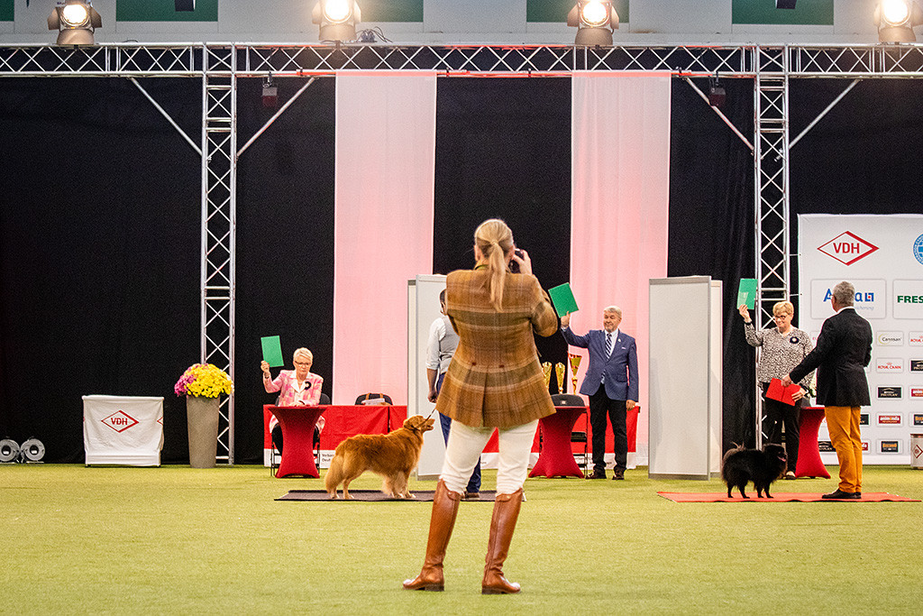 Edison steht vor den Richtern, die alle für ihn stimmen