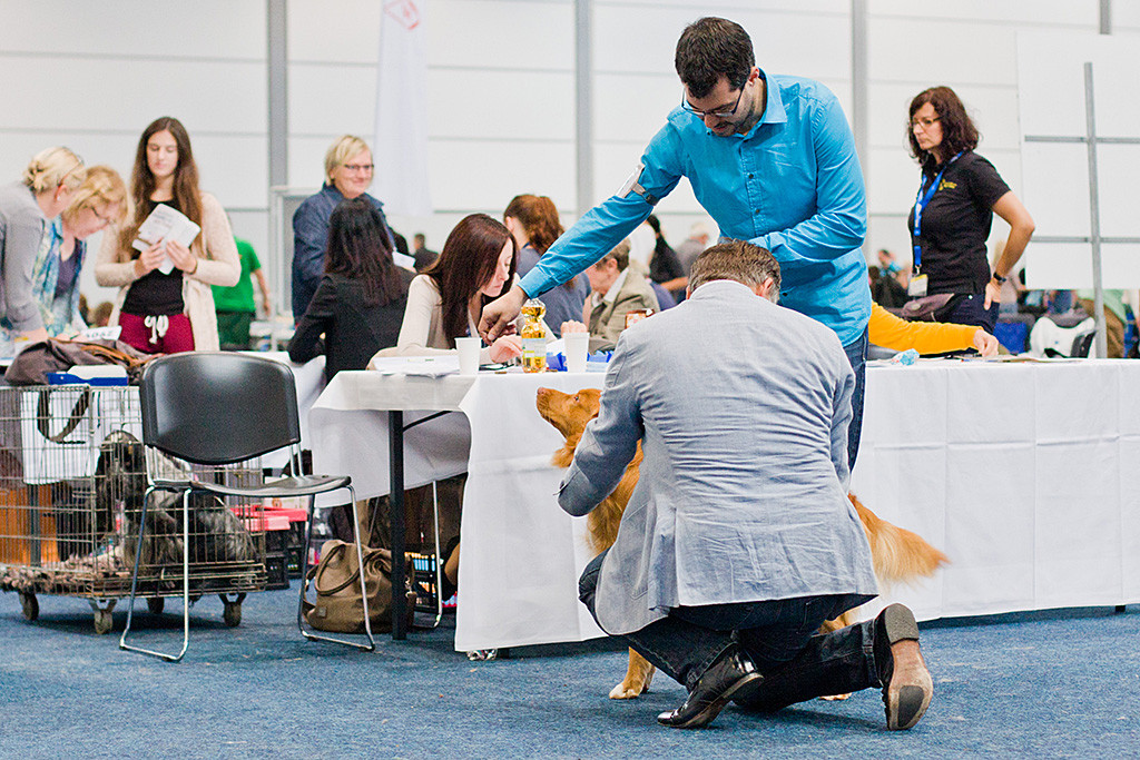 Edison lässt sich erneut vom Richter abtasten