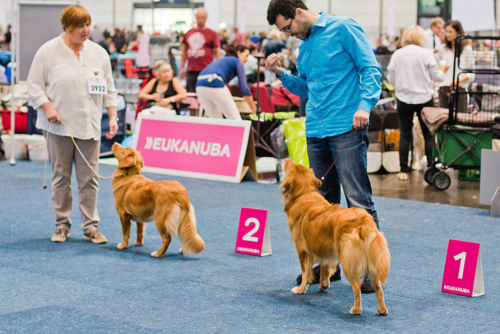 Nebeneinanderstehend Edison auf Platz 1 und Princess from Bonaire of Red Glory auf Platz 2