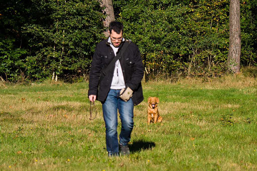 Edison behält Stephan genau im Blick beim weiteren Entfernen