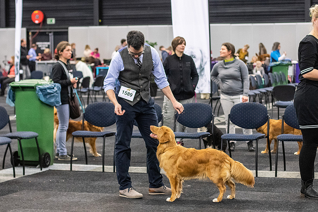 Newton steht an Stephans Seite und lächelt zu ihm hoch