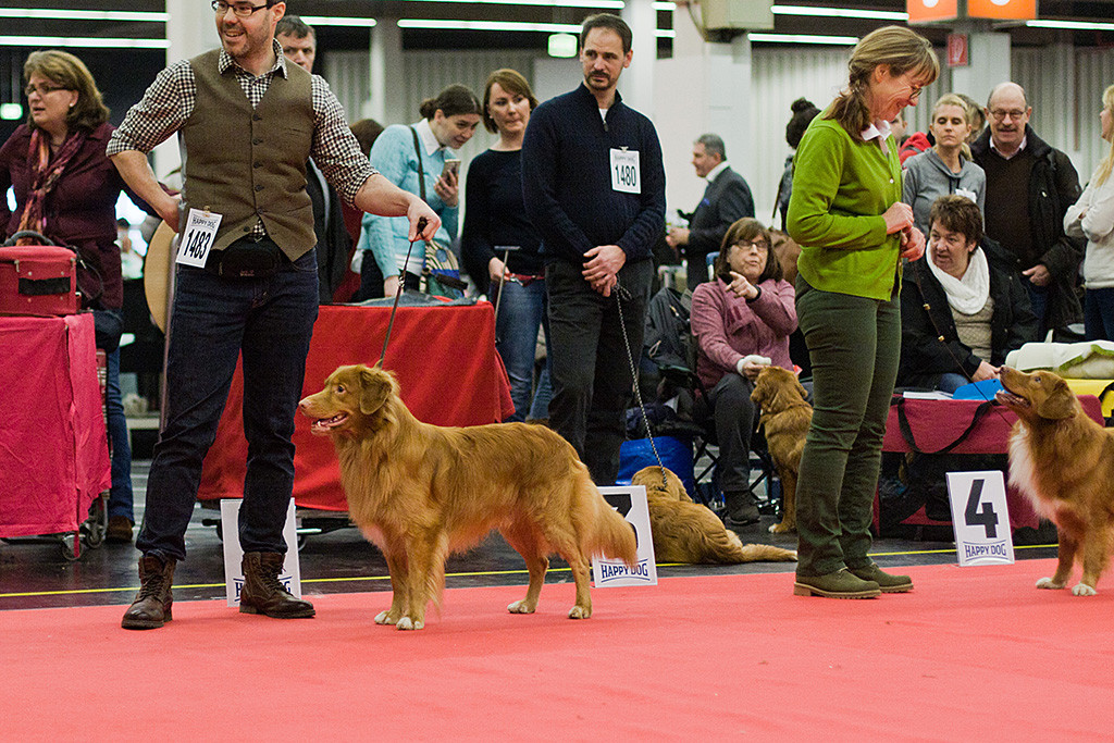 Edison steht in Pose vor Stephan und schaut in Richtung der Richterin