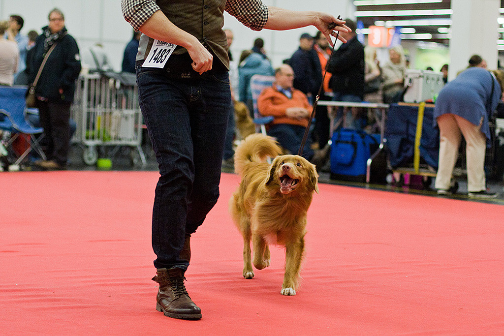 Edison lächelt zu Stephan hoch während sie auf der Geraden laufen