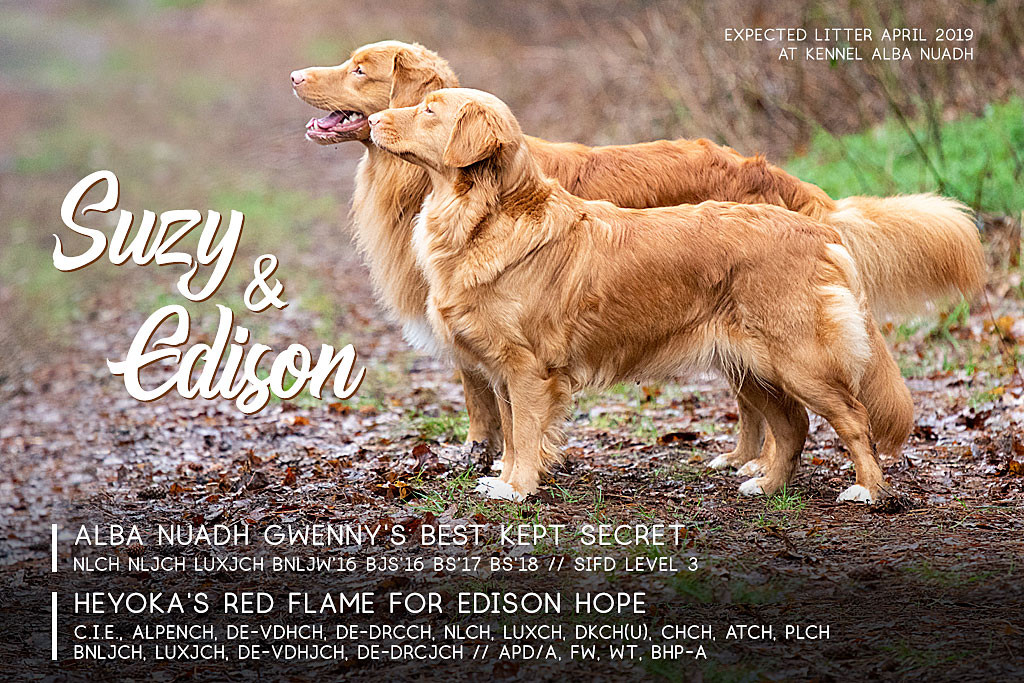 Edison und Suzy stehen nebeneinander auf einem Waldpfad