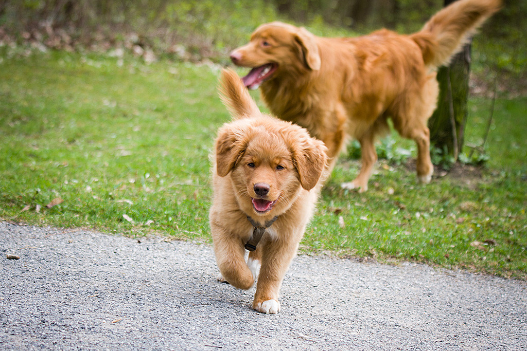 Benthe läuft auf die Kamera zu, im Hintergrund ist Edison zu sehen