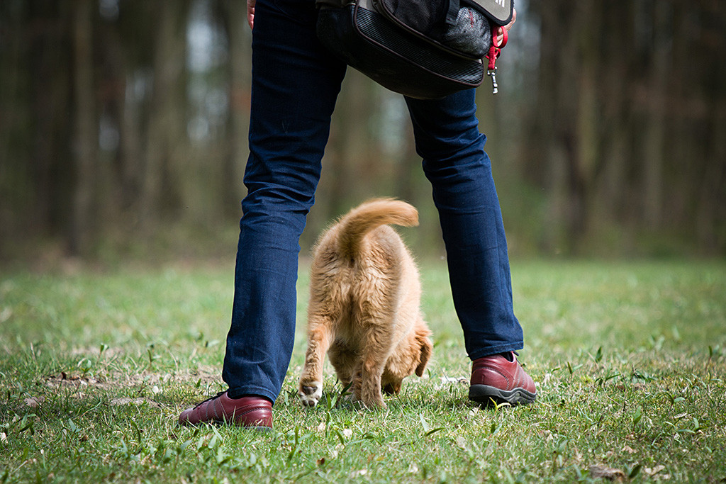 Benthe läuft durch die Beine von Sigrid