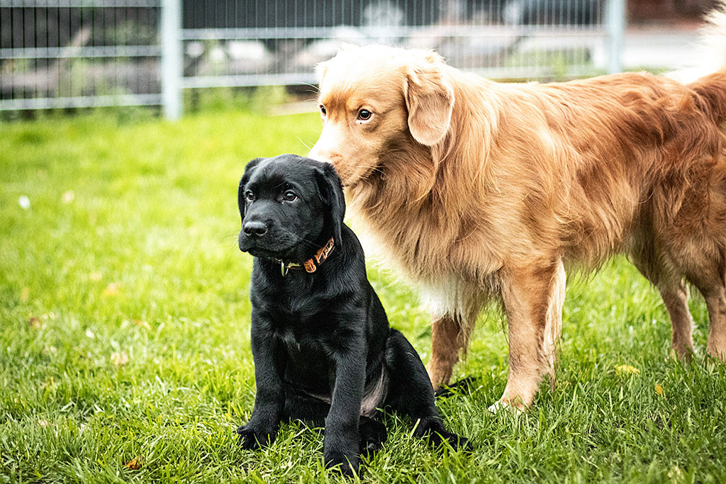 Edison steht hinter Fiete, der vor ihm auf seinem Popo sitzt