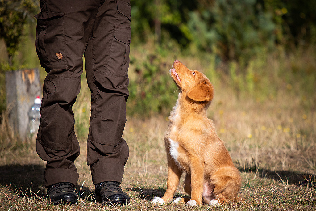 Newton sitzt im Gras und schaut zu Stephan hoch, der neben ihm steht