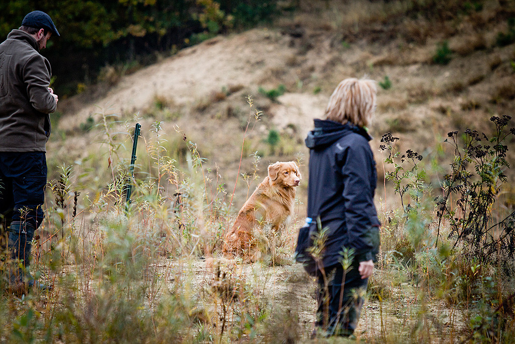 Edison bleibt sitzen und schaut Stephan zu, der gerade den Verleitdummy holt, hinter ihm steht der Richter, im Vordergrund sieht man eine Helferin