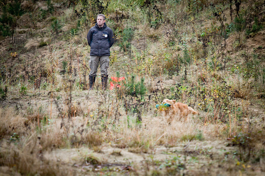 Edison rennt mit dem Dummy im Fang zurück zu Stephan, im Hintergrund steht ein Helfer, der geschossen und das Dummy geworfen hat