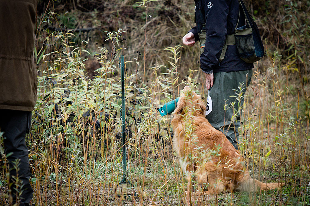 Edison hat neben Stephan eingeparkt und bietet ihm den Dummy an, links von ihnen steht der Richter