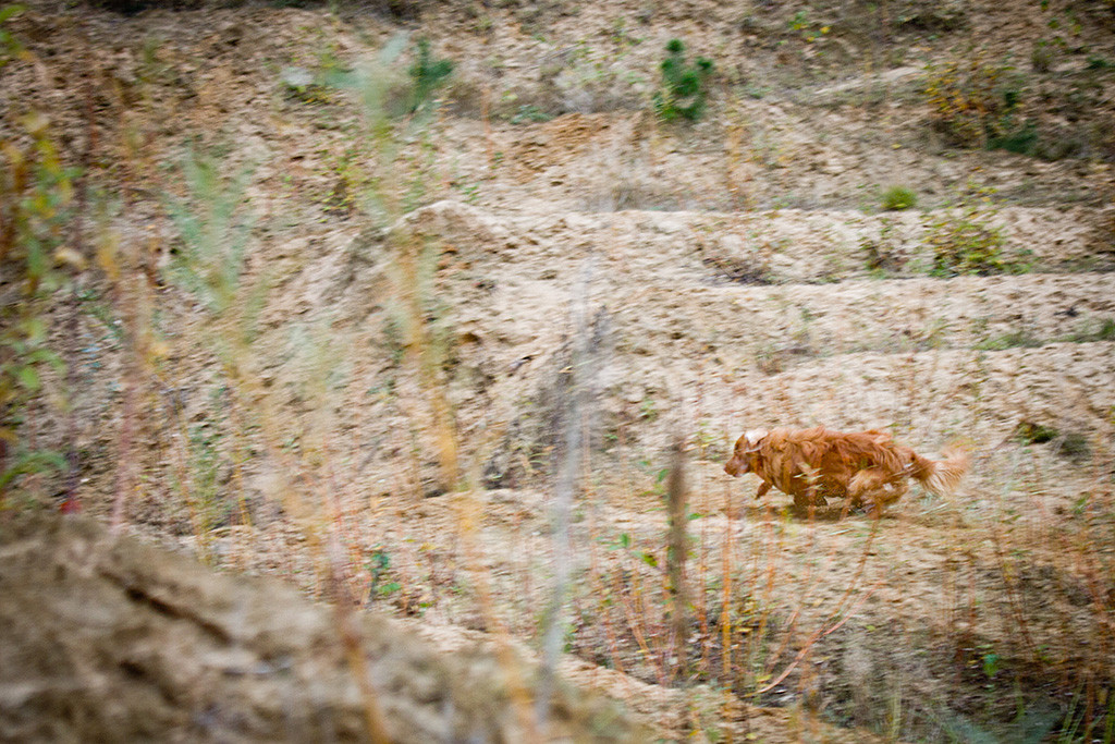 Edison bremst kurz vorm Abhang ab