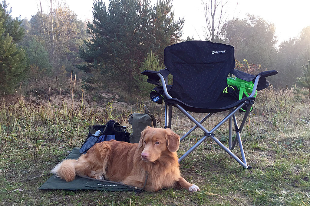 Edison liegt auf seiner Decke neben einem Campingstuhl und wartet, dass es losgeht