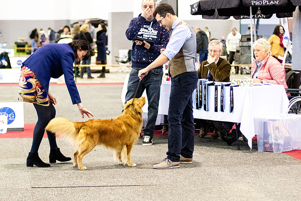 Edison steht zusammen mit Stephan vor dem Richtertisch während die Richterin sich ihn anschaut