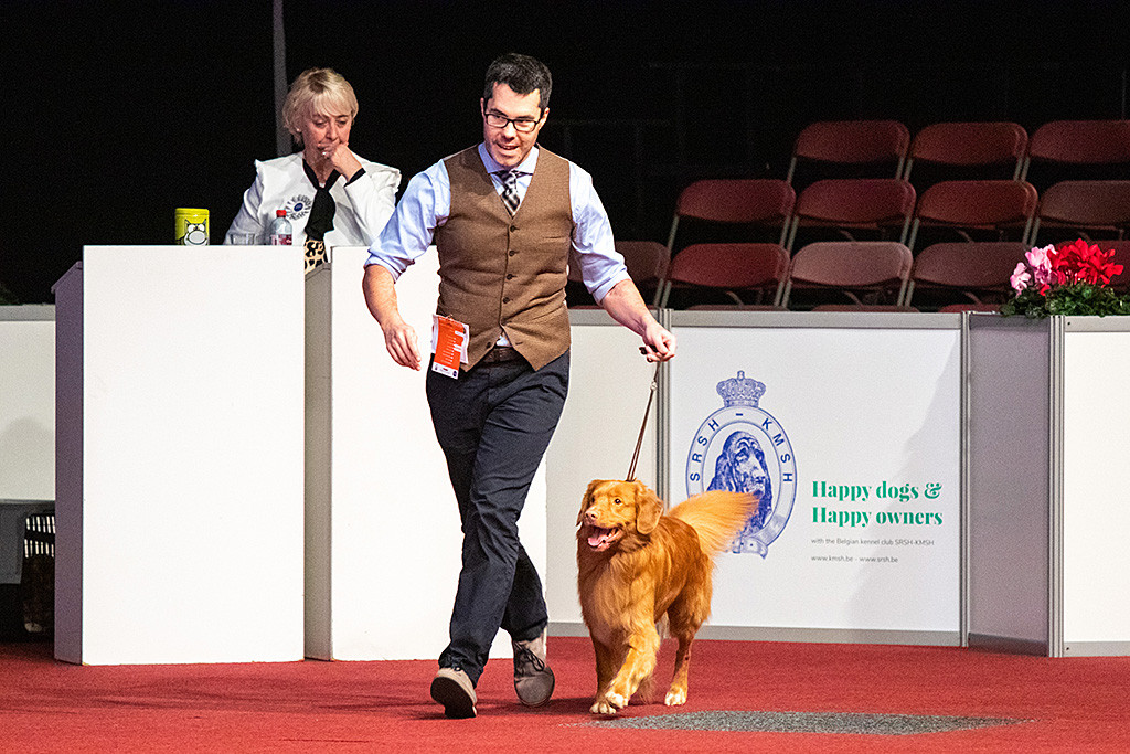 Edison wird im Ehrenring an Stephans Seite in die Shortlist gewählt