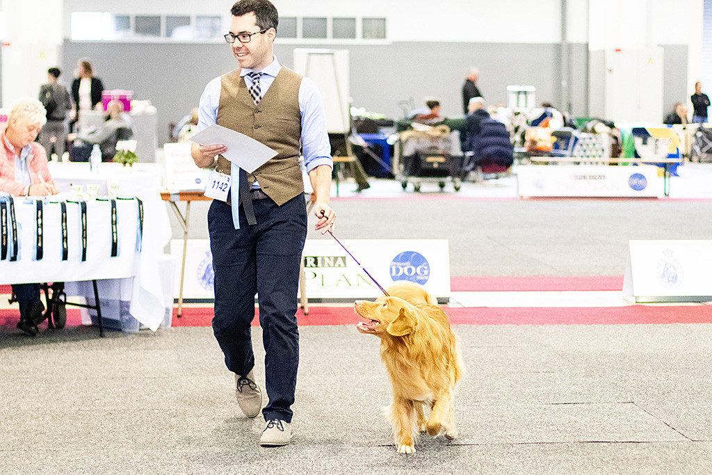 Edison läuft an Stephans Seite aus dem Ring, beide lächeln glücklich und zufrieden über den Gewinn