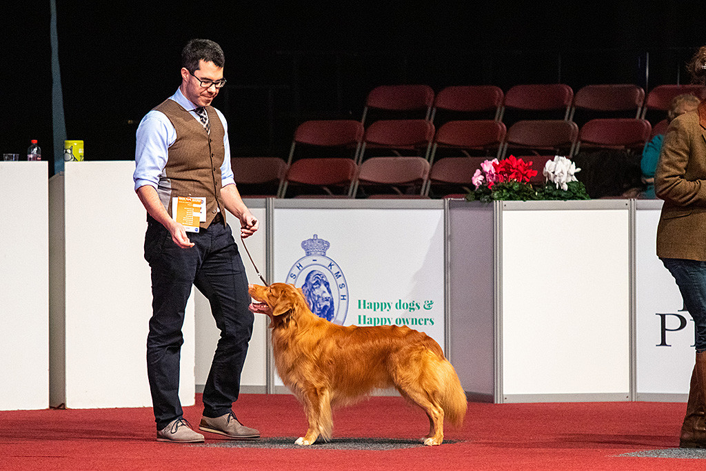 Edison steht im Ehrenring frontal vor Stephan und schmeißt sich dabei in Pose