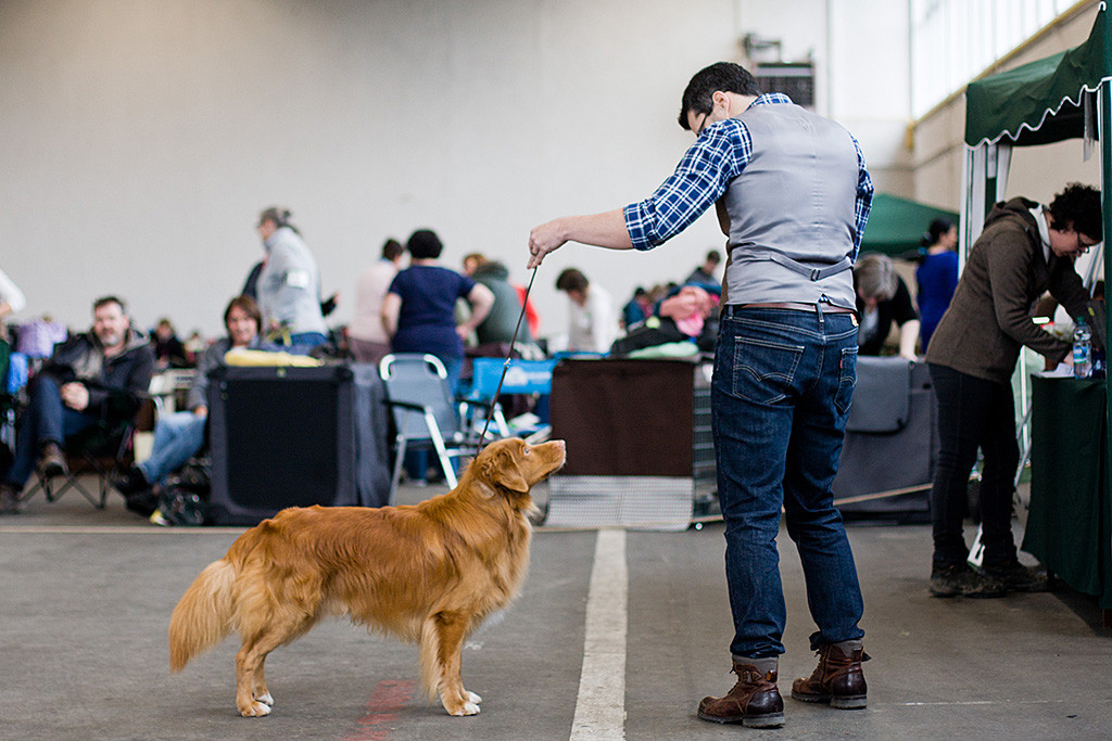 Edison steht vor Stephan schonmal in Pose kurz bevor es mit dem Richten losgeht