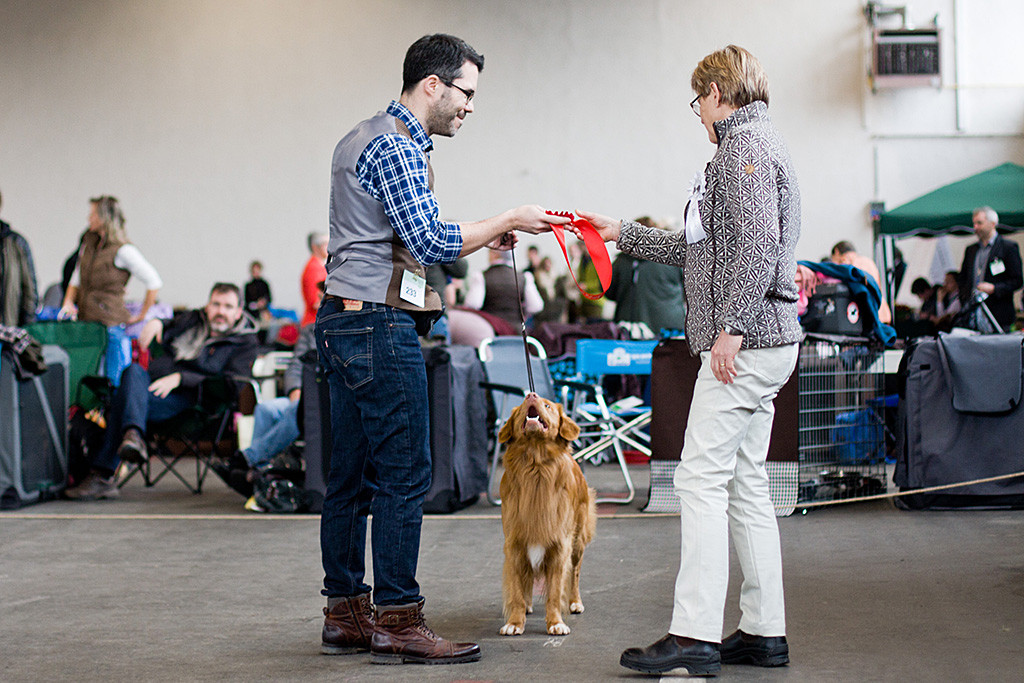 Edison gewinnt die Championklasse und steht zwischen Stephan und der Richterin, die ihm die rote Siegerrosette überreicht