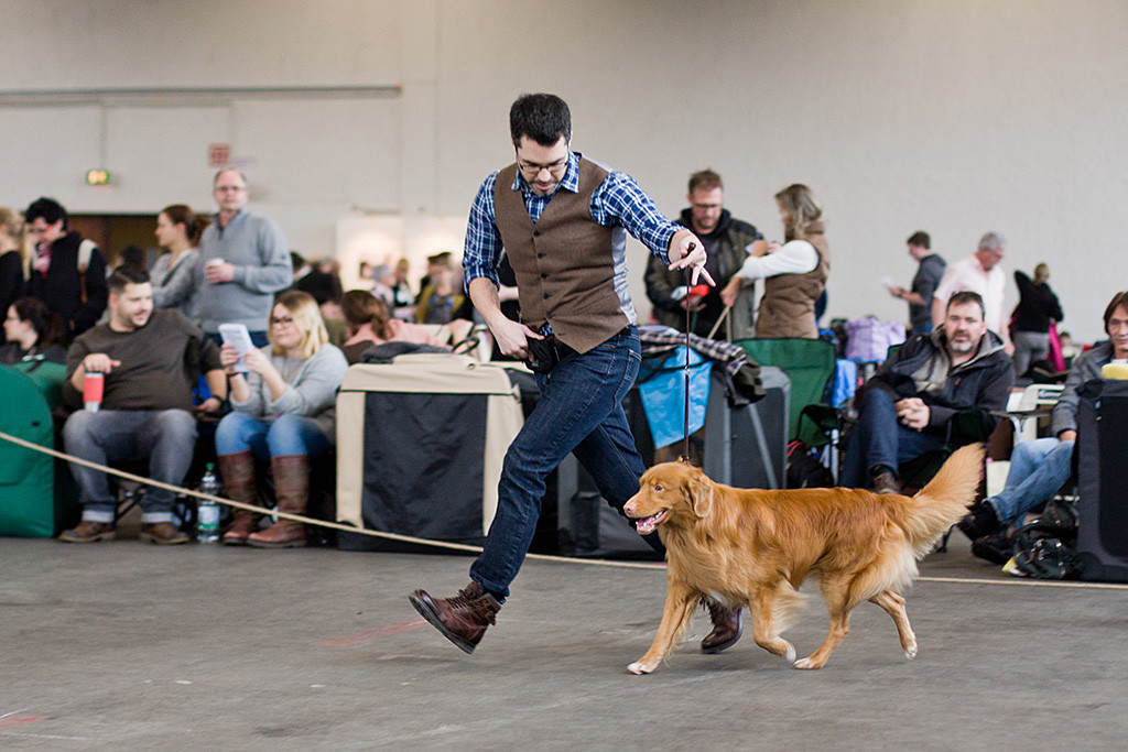 Edison läuft geführt von Stephan auf der Geraden durch den Ring
