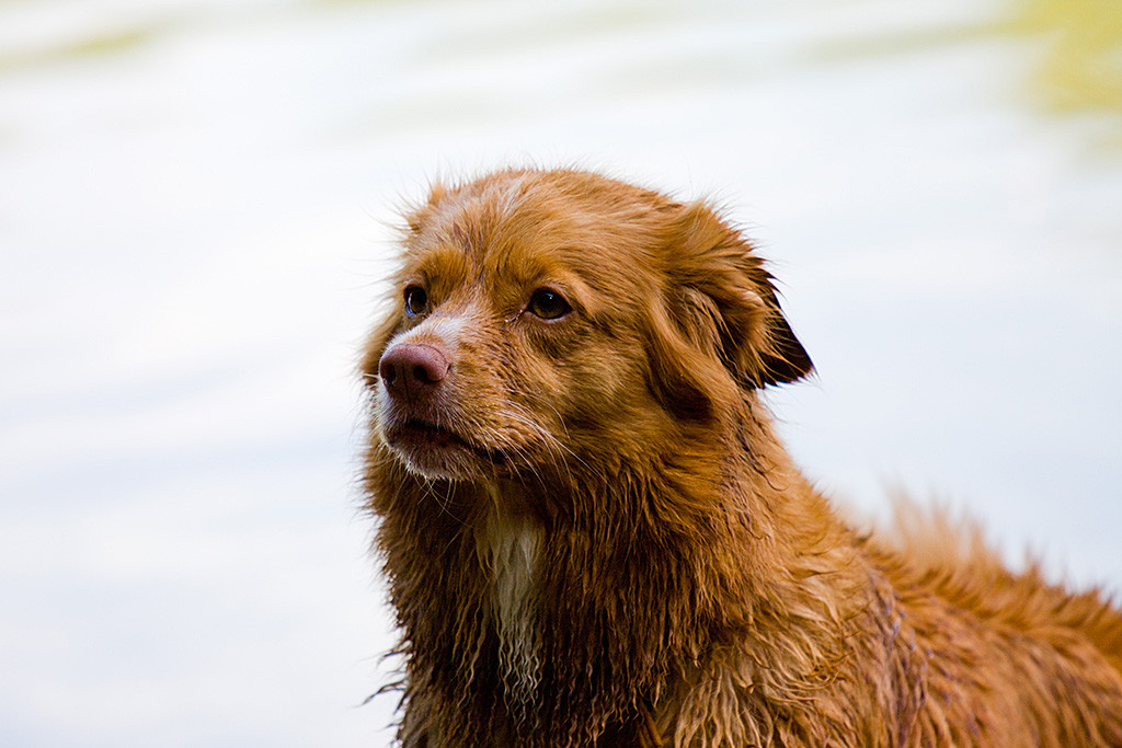 Frieda im Halbprofil während sie mit fokussierten Blick zur Seite schaut