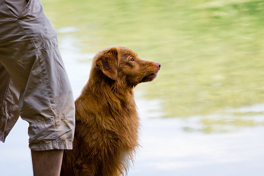 Edison sitzt vor Stephan am Ufer des Sees und schaut wartend nach vorn