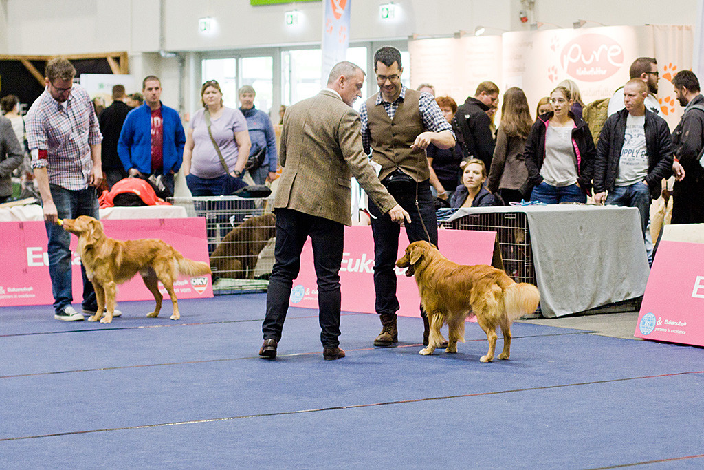 Edison steht zusammen mit Stephan und Richter Frank Whyte zusammen, der mit dem Finger auf ihn zeigt