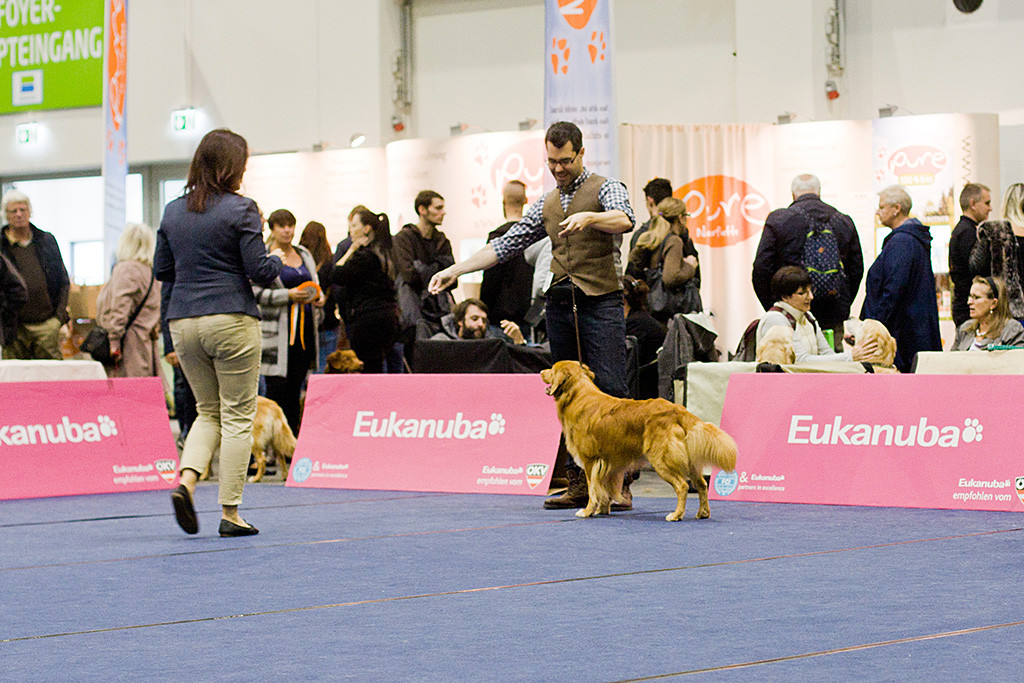 Edison wird noch ein letztes Mal von der Richterin begutachtet