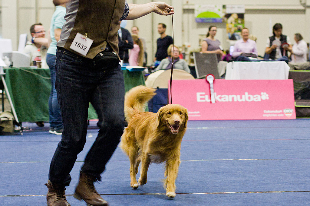 Edison läuft mit Stephan lächelnd durch den Ring